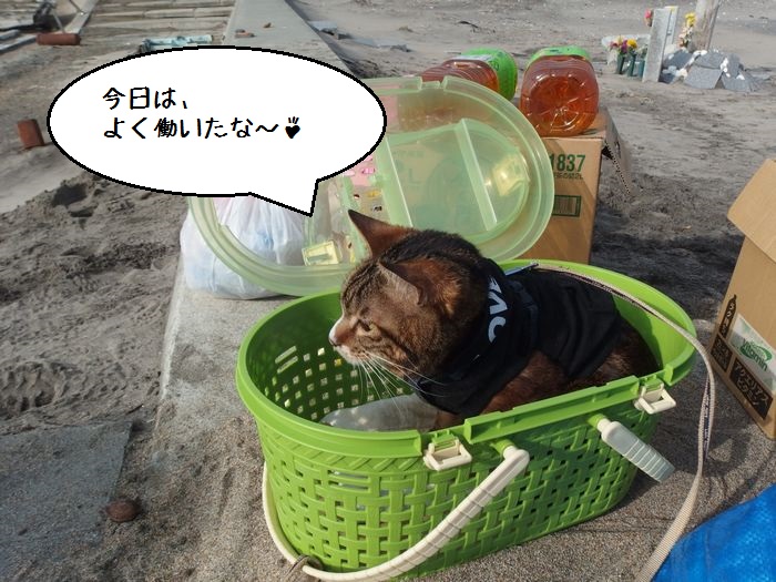 f:id:k9352009:20150224121805j:image
