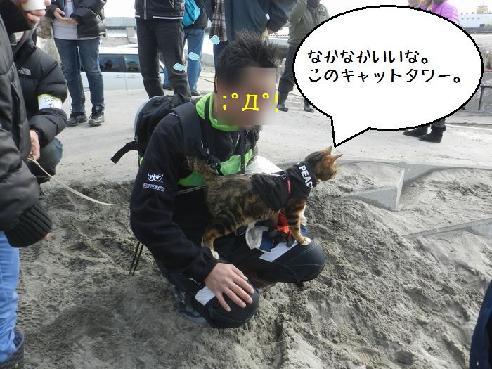 f:id:k9352009:20150224122210j:image