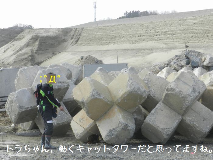f:id:k9352009:20150224122412j:image