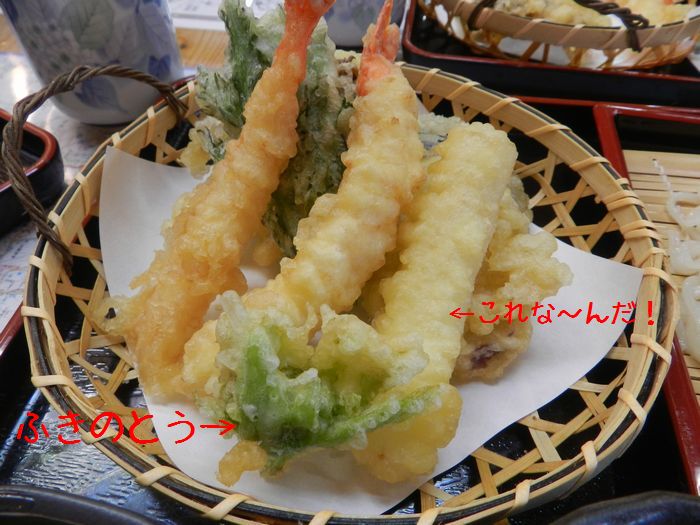 f:id:k9352009:20150323164108j:image