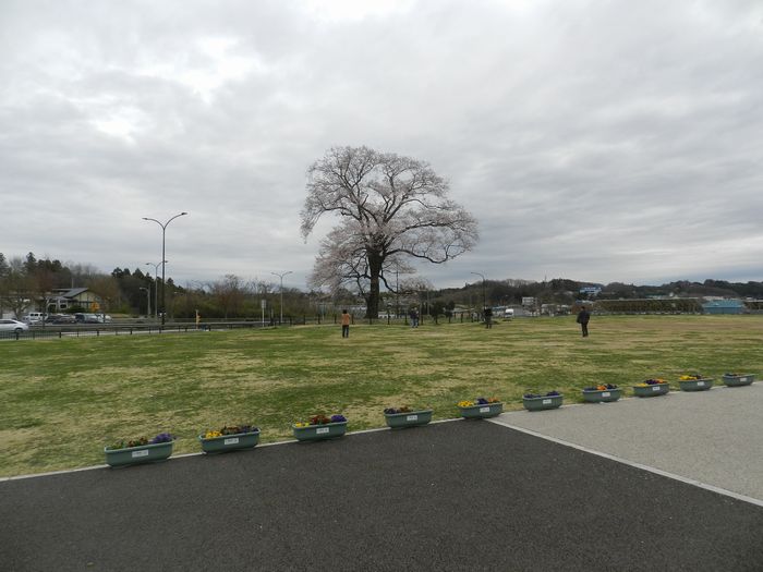 f:id:k9352009:20150408120317j:image