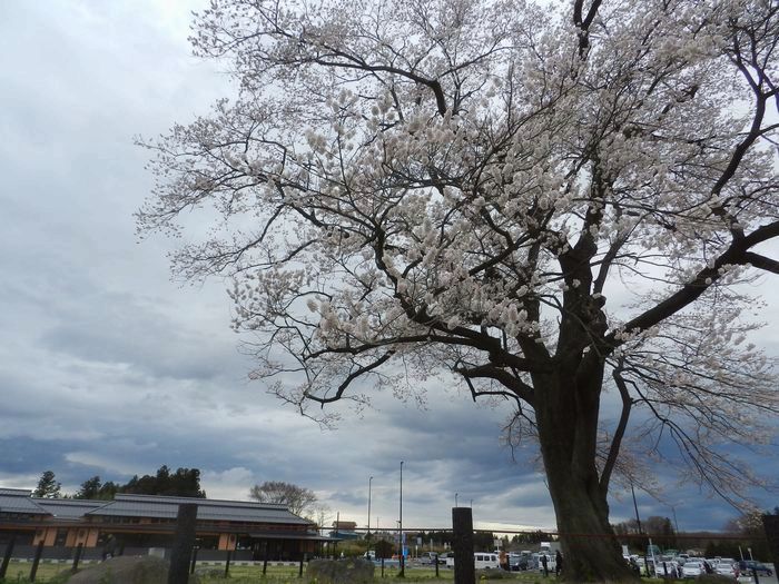 f:id:k9352009:20150408120650j:image