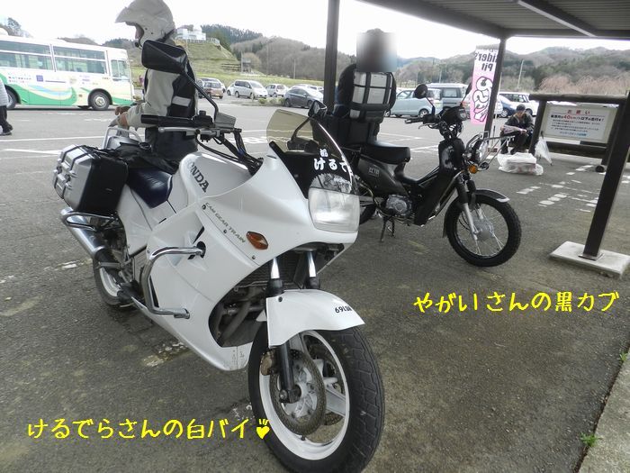 f:id:k9352009:20150414133515j:image