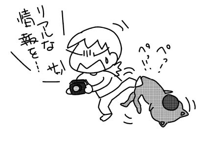 f:id:k9352009:20150416110747j:image