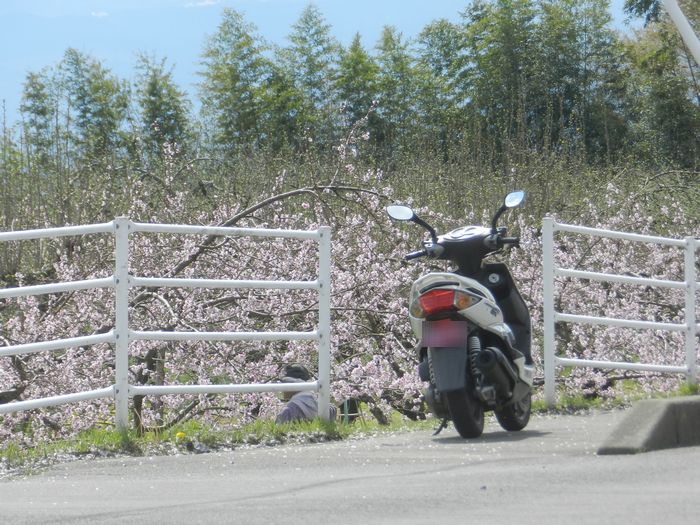 f:id:k9352009:20150416112652j:image