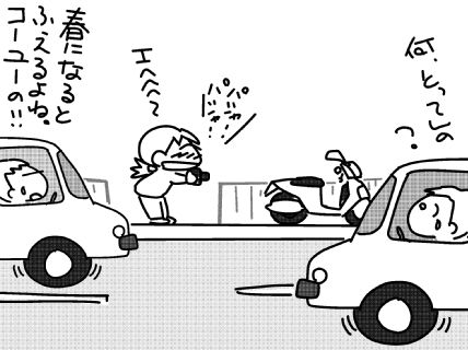 f:id:k9352009:20150416112807j:image