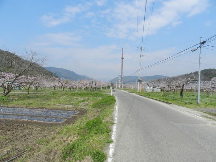 f:id:k9352009:20150417201055j:image