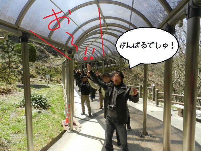 f:id:k9352009:20150423131818j:image