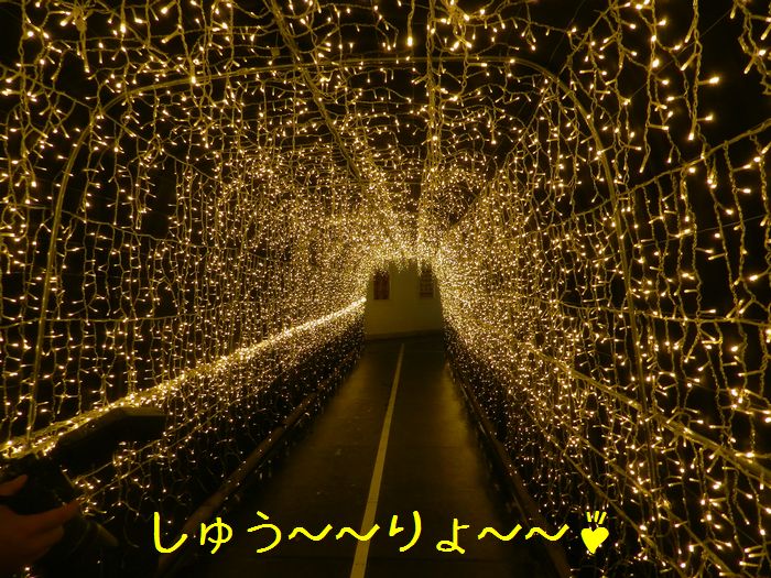 f:id:k9352009:20150423132554j:image