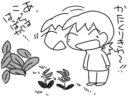 f:id:k9352009:20150428122434j:image