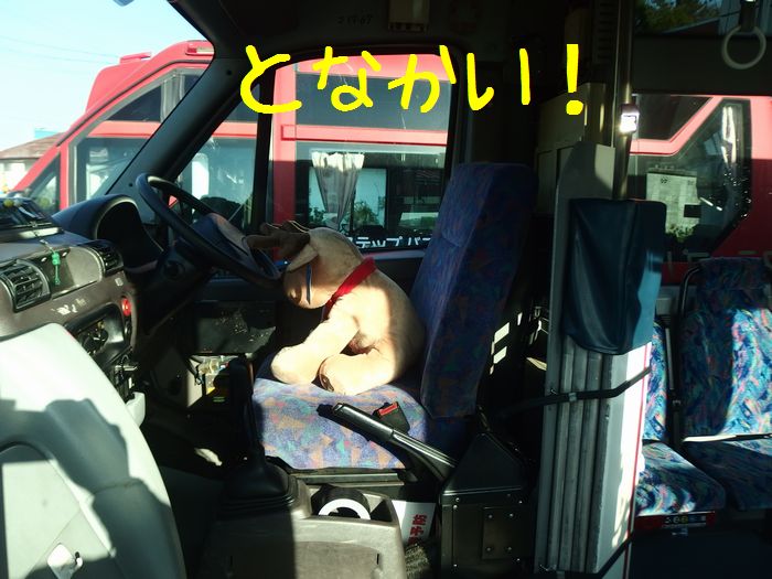 f:id:k9352009:20150428125444j:image