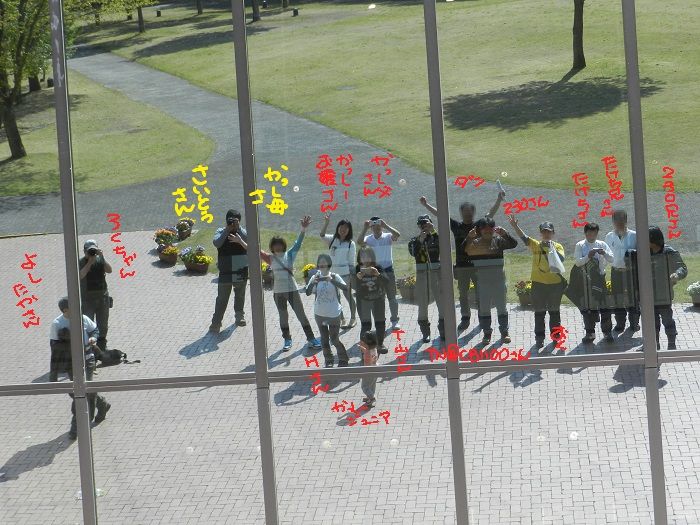f:id:k9352009:20150501123210j:image