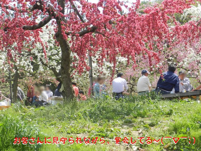 f:id:k9352009:20150508100912j:image