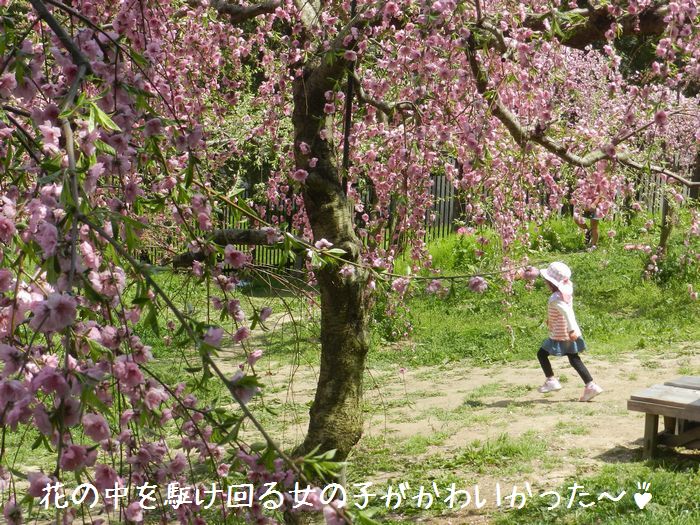 f:id:k9352009:20150508100918j:image
