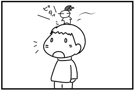 f:id:k9352009:20150511113640j:image f:id:k9352009:20150511113640j:image