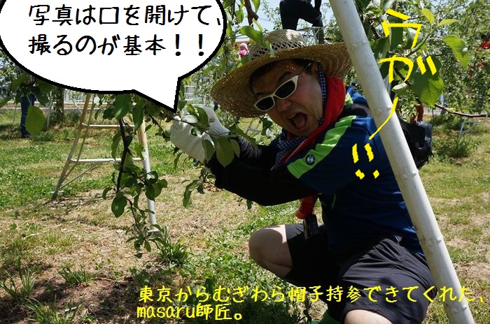 f:id:k9352009:20150518110510j:image f:id:k9352009:20150518110510j:image