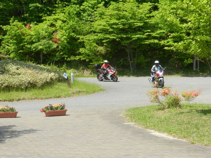 f:id:k9352009:20150520101344j:image