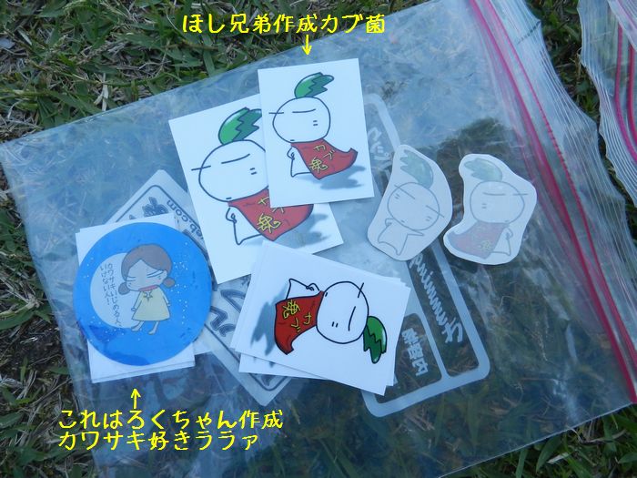 f:id:k9352009:20150528114328j:image f:id:k9352009:20150528114328j:image
