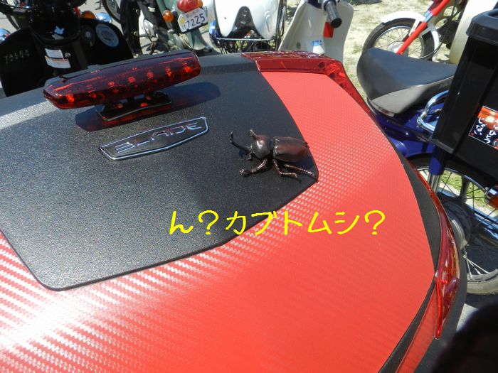 f:id:k9352009:20150529123403j:image