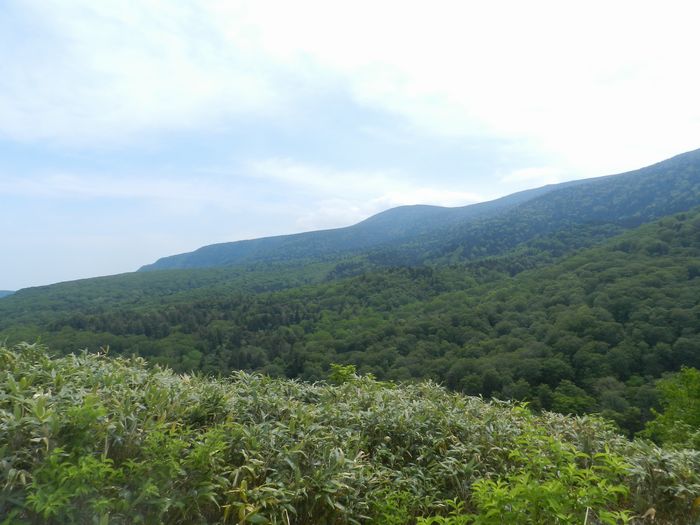 f:id:k9352009:20150608165633j:image