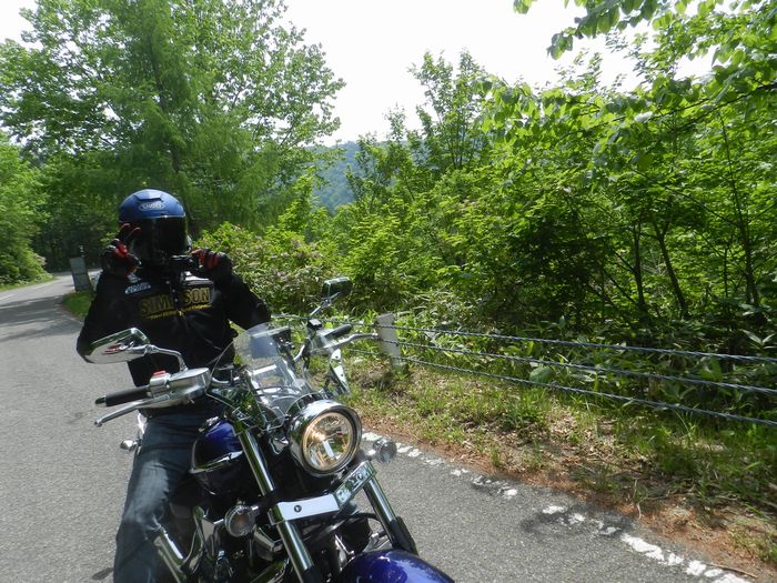 f:id:k9352009:20150608174330j:image