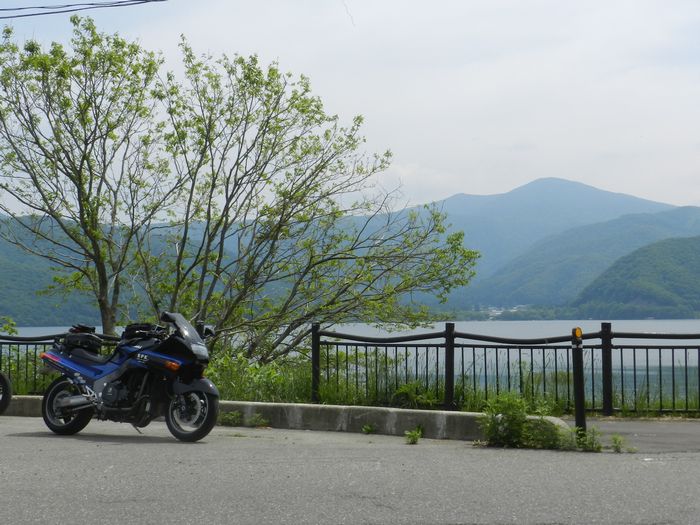 f:id:k9352009:20150608174739j:image