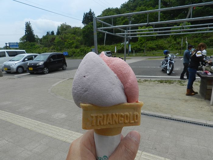 f:id:k9352009:20150608175548j:image