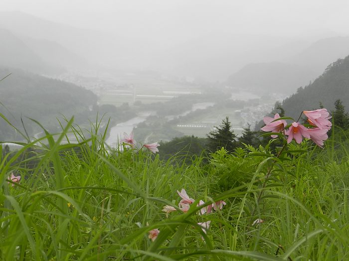 f:id:k9352009:20150714194848j:image f:id:k9352009:20150714194848j:image