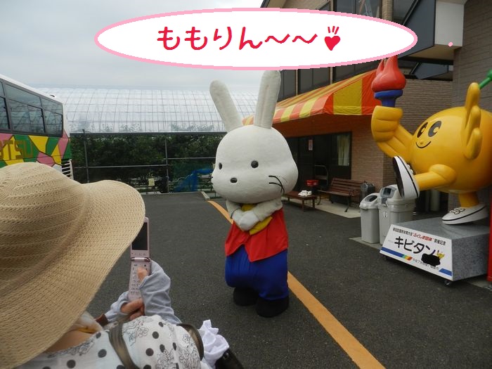 f:id:k9352009:20150722113843j:image