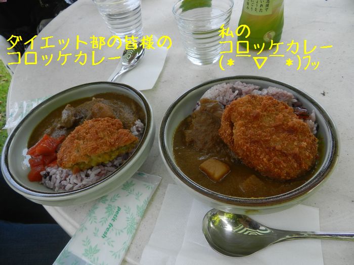 f:id:k9352009:20150725131704j:image
