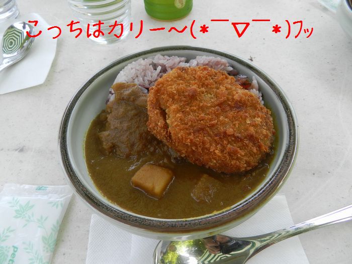 f:id:k9352009:20150725140851j:image