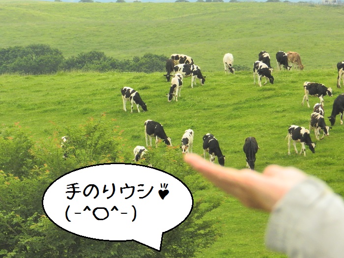 f:id:k9352009:20150731102910j:image