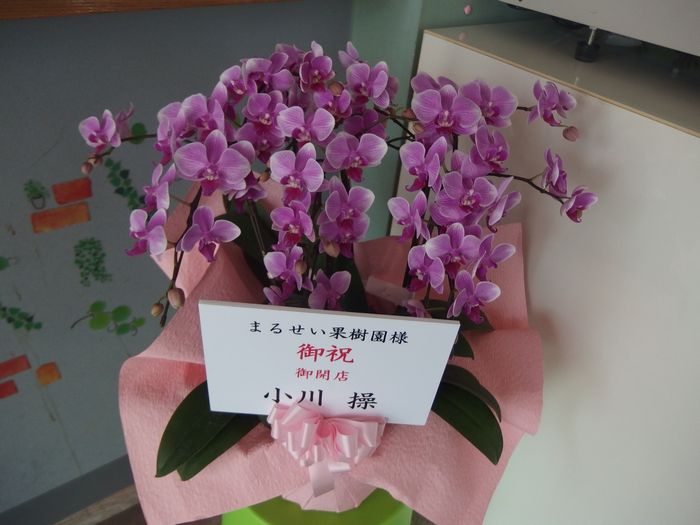 f:id:k9352009:20150802020105j:image