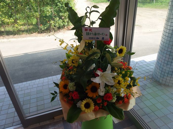f:id:k9352009:20150802020106j:image