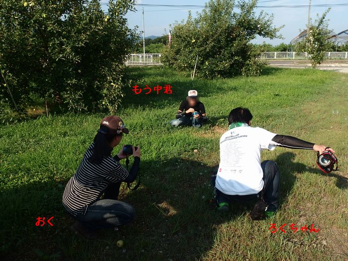 f:id:k9352009:20150817140107j:image