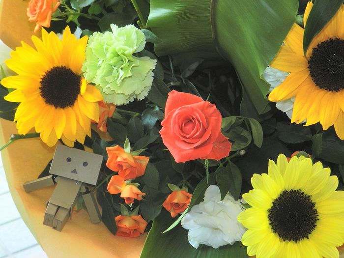 f:id:k9352009:20150817141000j:image