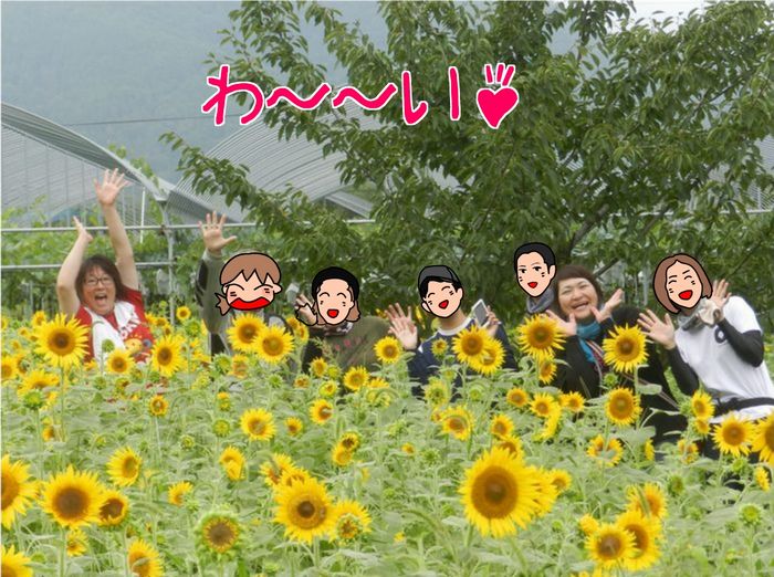 f:id:k9352009:20150826090122j:image