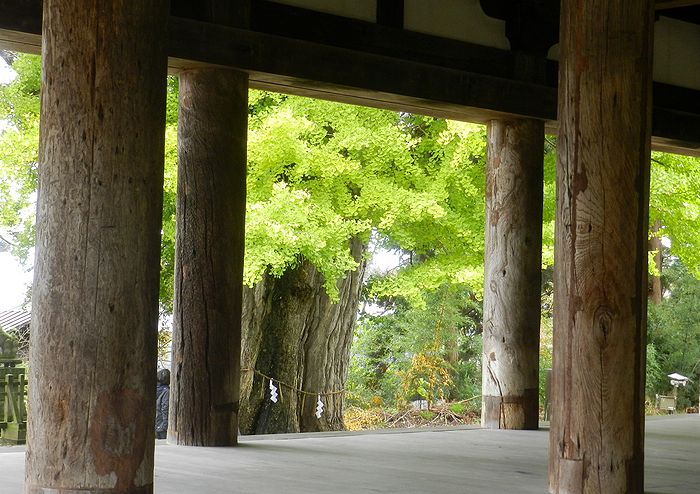 f:id:k9352009:20151104120656j:image