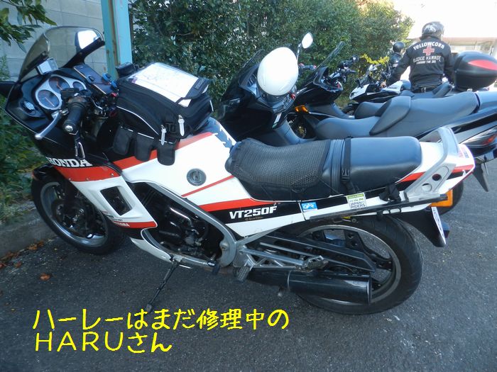 f:id:k9352009:20151110114609j:image f:id:k9352009:20151110114609j:image