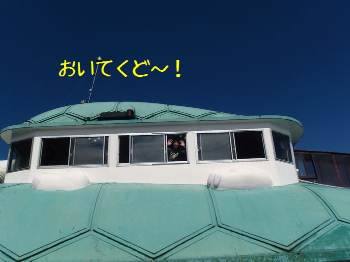 f:id:k9352009:20151111110053j:image