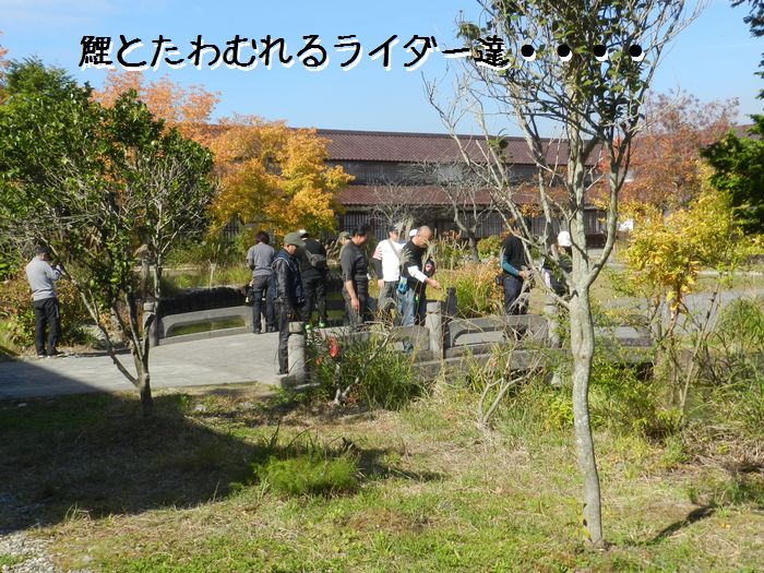 f:id:k9352009:20151111112915j:image