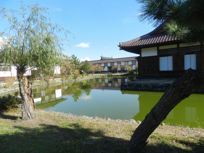 f:id:k9352009:20151111113639j:image