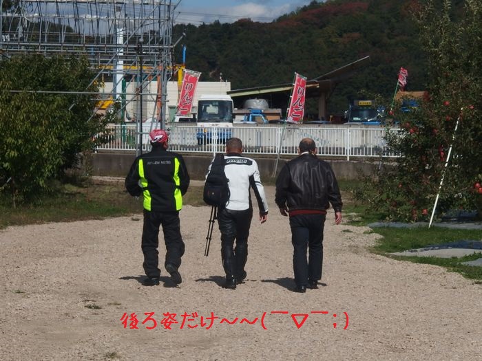 f:id:k9352009:20151201134228j:image