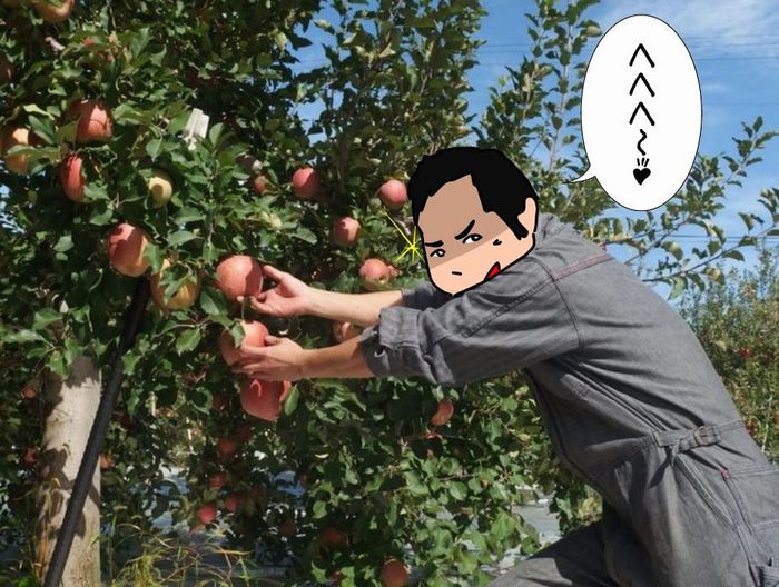 f:id:k9352009:20151201134706j:image