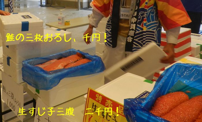 f:id:k9352009:20151208114709j:image