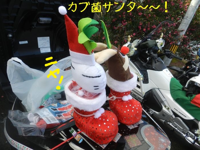 f:id:k9352009:20151214114854j:image f:id:k9352009:20151214114854j:image