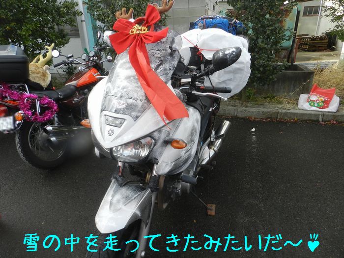 f:id:k9352009:20151214115145j:image f:id:k9352009:20151214115145j:image