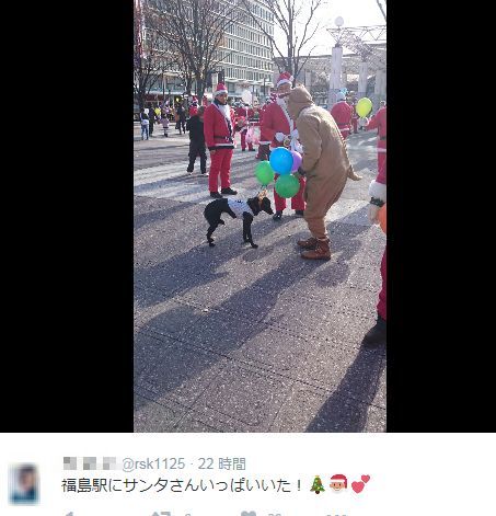 f:id:k9352009:20151215120238j:image