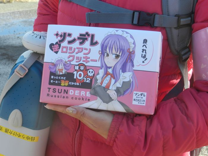 f:id:k9352009:20151218114806j:image f:id:k9352009:20151218114806j:image