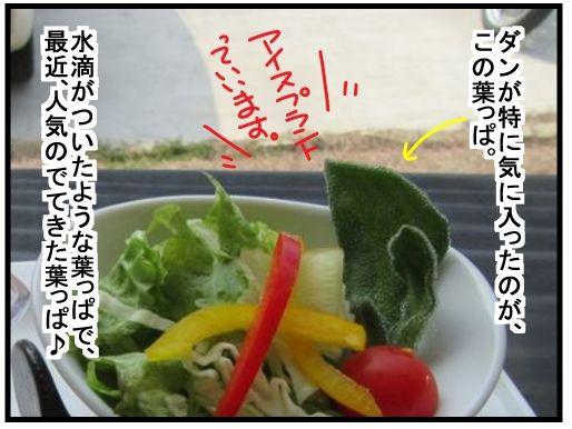 f:id:k9352009:20160314134851j:image f:id:k9352009:20160314134851j:image